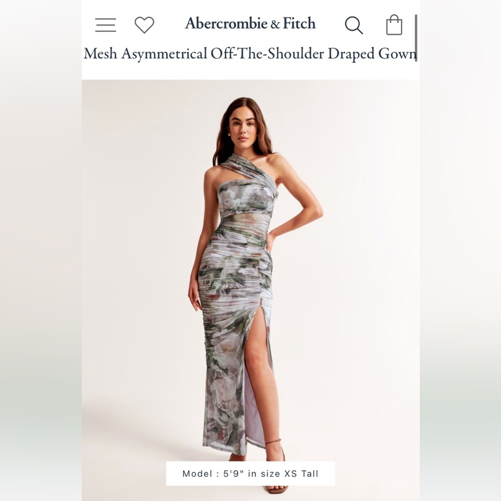 Abercrombie Mesh Asymmetrical Off-The-Shoulder Draped Gown